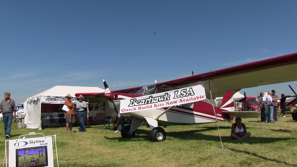 Bearhawk Light Sport Aircraft